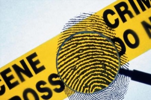 Famous Cases Involving Digital Forensics